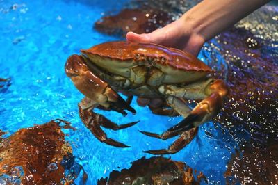 入冬了!2018年最后幾天,冷空氣即將虐哭南寧人!但有一個(gè)地方卻…