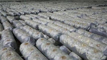 山陽(yáng)、商南6個(gè)重點(diǎn)項(xiàng)目接受全市“檢閱”